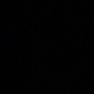 Meet your Posher, Litzi